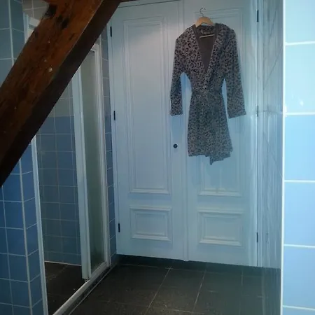 Maartje Cornelis Hoeve *